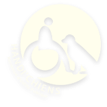 le noël 
                handi’chiens